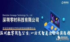 温州数字钱包公交：一站式智慧出行的