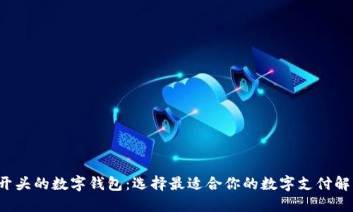 探索B开头的数字钱包：选择最适合你的数字支付解决方案