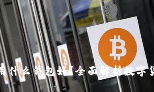 存放数字货币用什么钱包好?全面解析数字货币钱包的选择