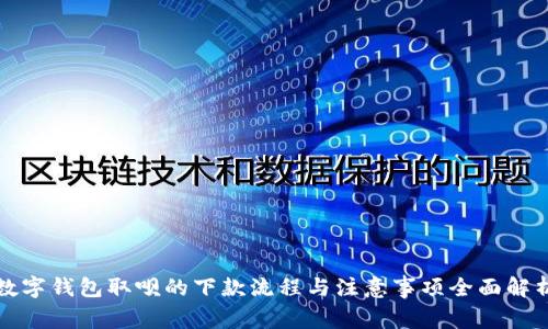 数字钱包取呗的下款流程与注意事项全面解析