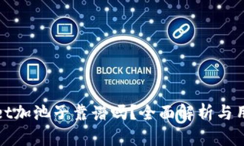 tpwallet加池子靠谱吗？全面解析与用户指南