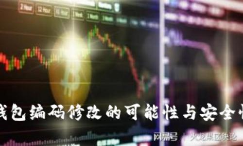 数字钱包编码修改的可能性与安全性分析