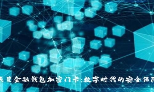 天星金融钱包加密门卡:数字时代的安全保障