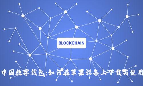 中国数字钱包：如何在苹果设备上下载与使用