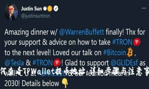 如何查看TPWallet提币地址:详细步骤与注意事项