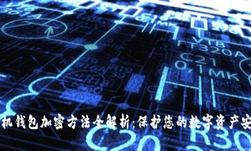 手机钱包加密方法全解析:保护您的数字资产安全