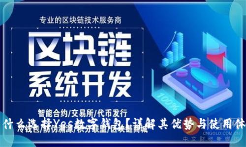 为什么选择Yes数字钱包?详解其优势与使用体验