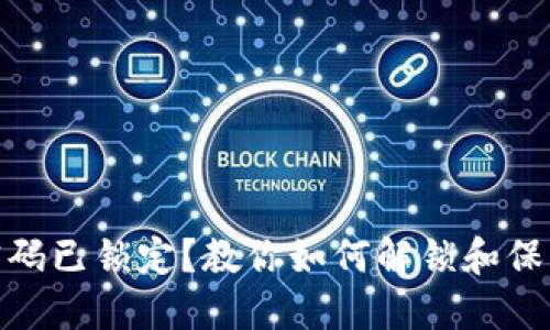数字钱包密码已锁定?教你如何解锁和保护账户安全