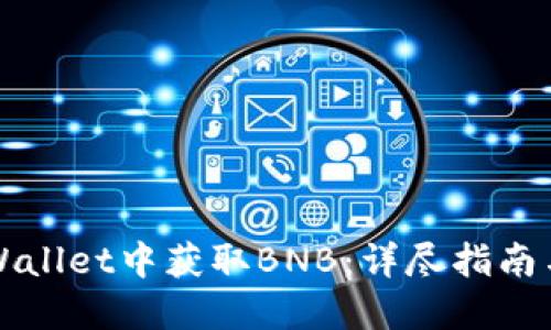 如何在TPWallet中获取BNB:详尽指南与实用技巧