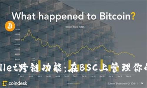 探索TPWallet跨链功能：在BSC上管理你的数字资产