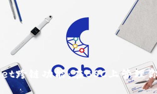 探索TPWallet跨链功能：在BSC上管理你的数字资产