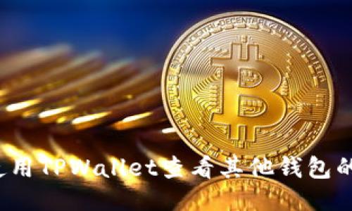 如何使用TPWallet查看其他钱包的余额?