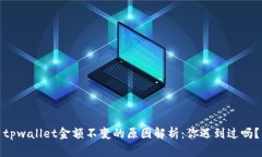 tpwallet金额不变的原因解析：你遇到过