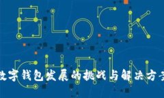 数字钱包发展的挑战与解决方案