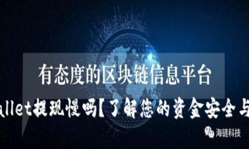 TPWallet提现慢吗?了解您的资金安全与效率