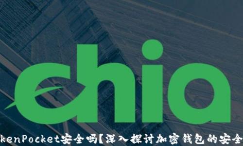 TokenPocket安全吗?深入探讨加密钱包的安全性