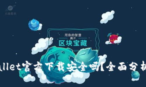 最新版TPWallet官方下载安全吗？全面分析与使用指南