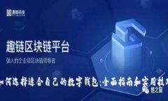 如何选择适合自己的数字钱包：全面指