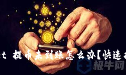 TPWallet 提币未到账怎么办?快速找回指南
