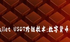 深入探讨TPWallet USDT跨链技术：数字货